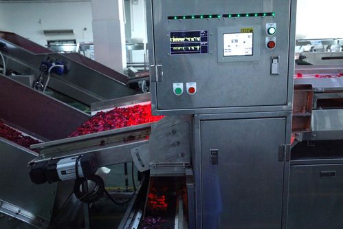 全面革新，智造美味 探秘嘉華食品花工廠技術升級之道