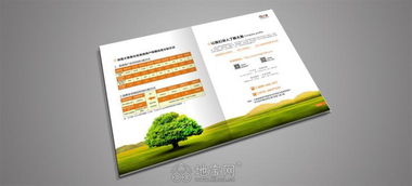 南昌專業(yè)平面設(shè)計(jì)服務(wù) 畫冊、產(chǎn)品包裝與logo設(shè)計(jì)大優(yōu)惠